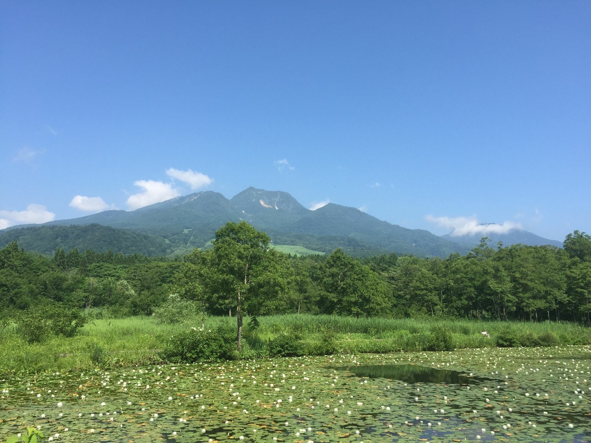 ペンション ムーミンパパ ロッジ 妙高市